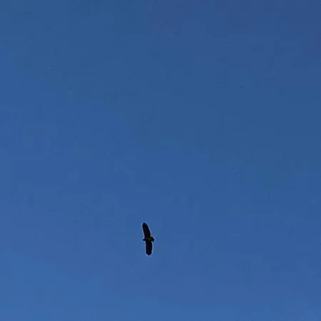 Familienidyll - Komfort, Riesiger Garten & Badespass Rankwitz