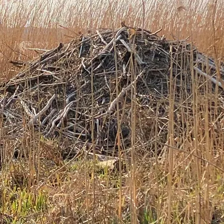 Familienidyll - Komfort, Riesiger Garten & Badespass Prázdninový dům