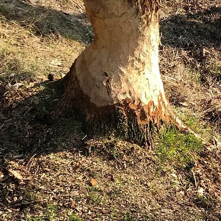 Familienidyll - Komfort, Riesiger Garten & Badespass * Rankwitz