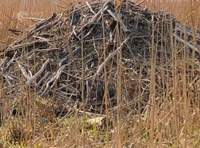 Familienidyll - Komfort, Riesiger Garten & Badespass Сasa de vacaciones